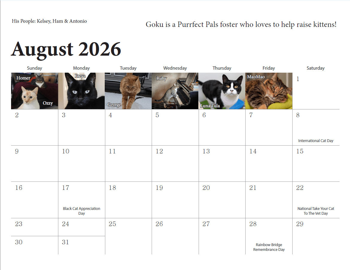 2026 Purrfect Pals Calendar - Image 2