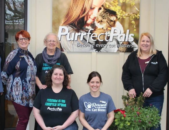 Meet the Purrfect Pals Leadership Team!