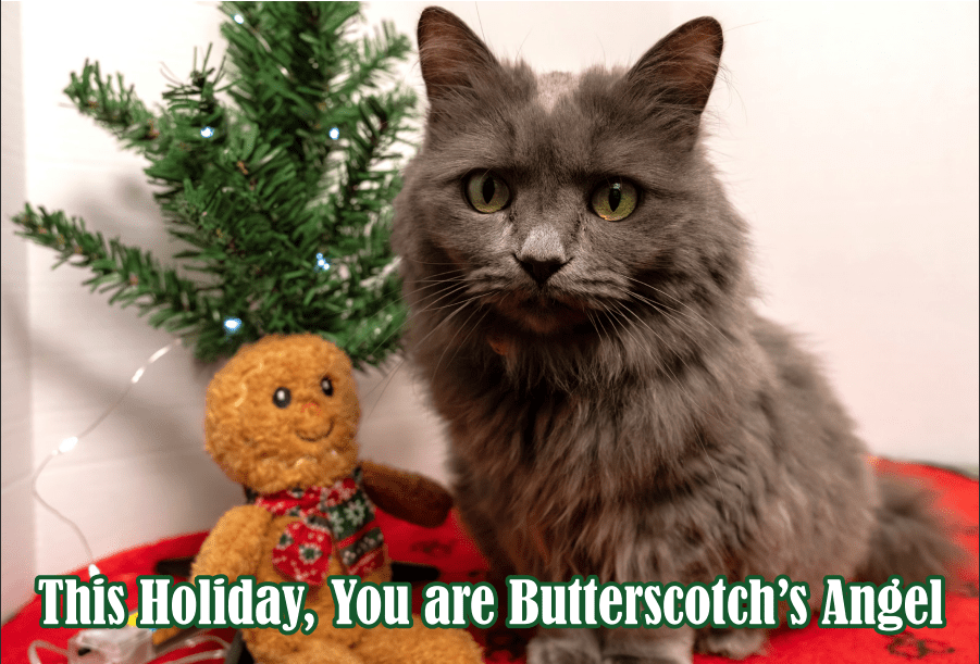 Holiday Sponsor Card – Butterscotch