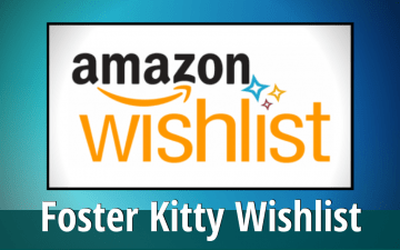 Donate Food and Supplies for Foster Cats and Kittens from our Amazon.com Wish List