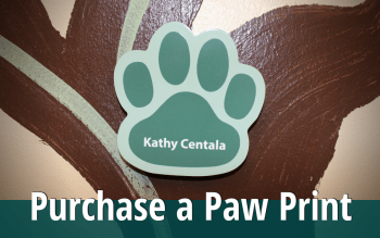 Purchase an Engraved Paw Print on our Donor Tree in Honor or in Memory of a Loved One.