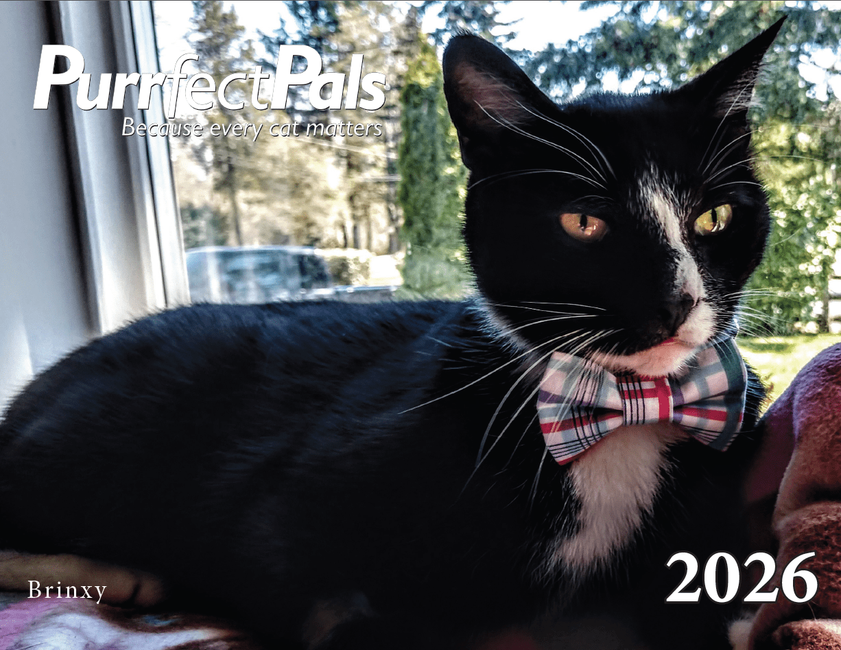 2026 Purrfect Pals Calendar