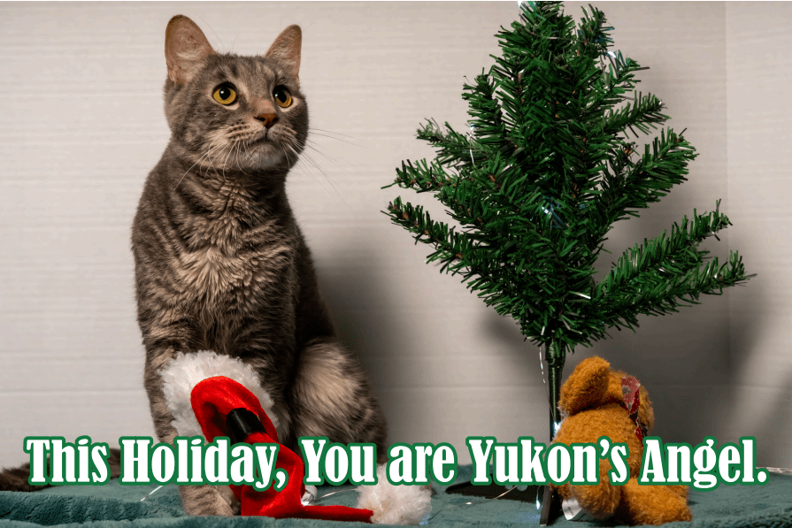 Holiday Sponsor Card – Yukon